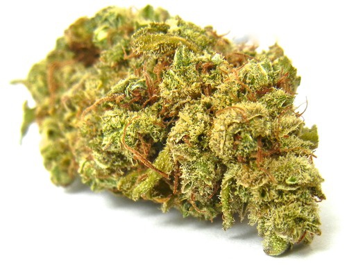 Dog Patch harvested flower, as labeled by the cited photo source