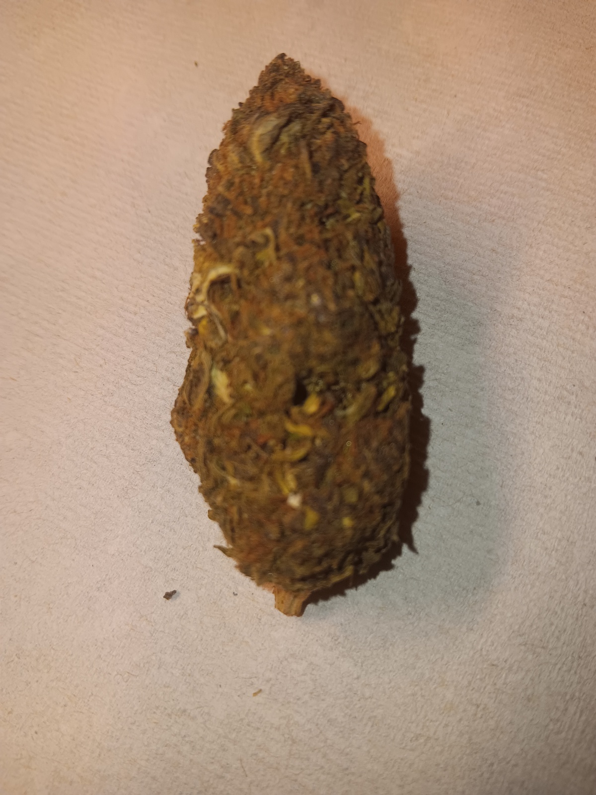 41 Cherries Strain Allbud 44 - u02vp7v