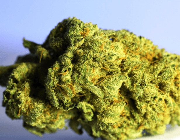 Doobiebird Daydream archive 0