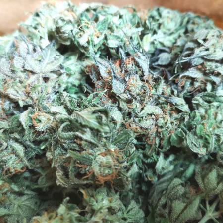 Double Berry Marijuana Strain Information & Reviews | AllBud