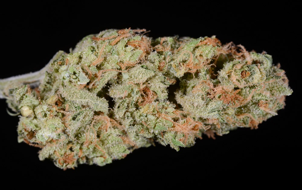 Double Durban Jilly Marijuana Strain Information & Reviews AllBud