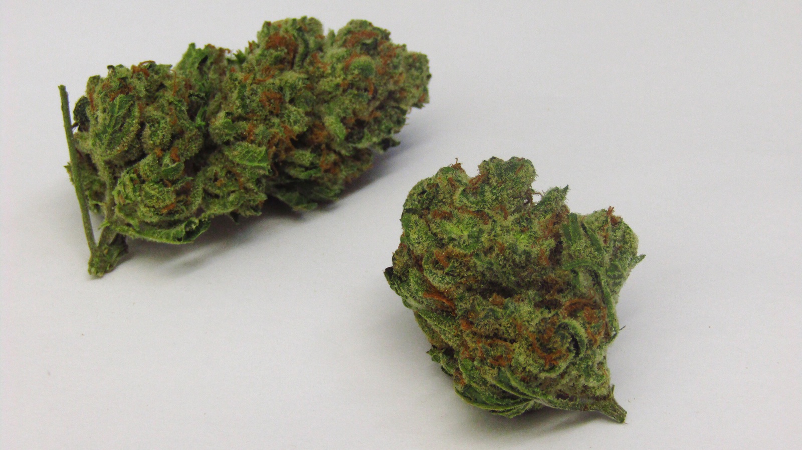 Double Lemon Pie Marijuana Strain Information & Reviews | AllBud