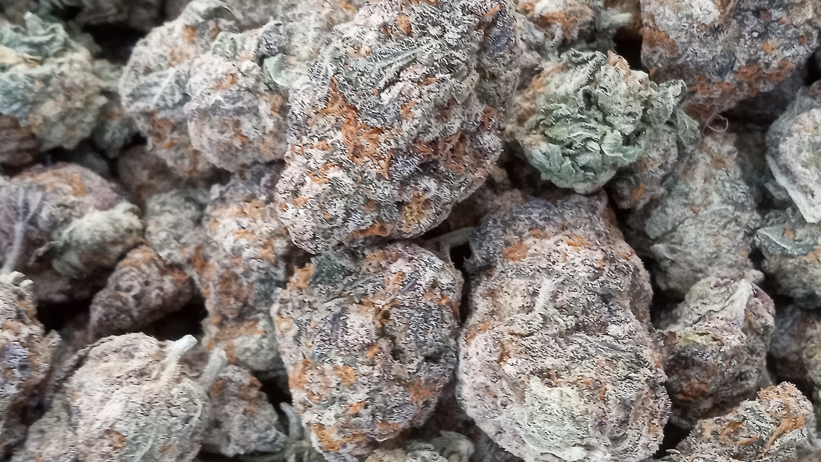 Double Stuffed Marijuana Strain Information & Reviews | AllBud