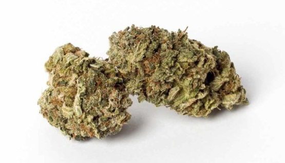 Dragon Punch archive 0