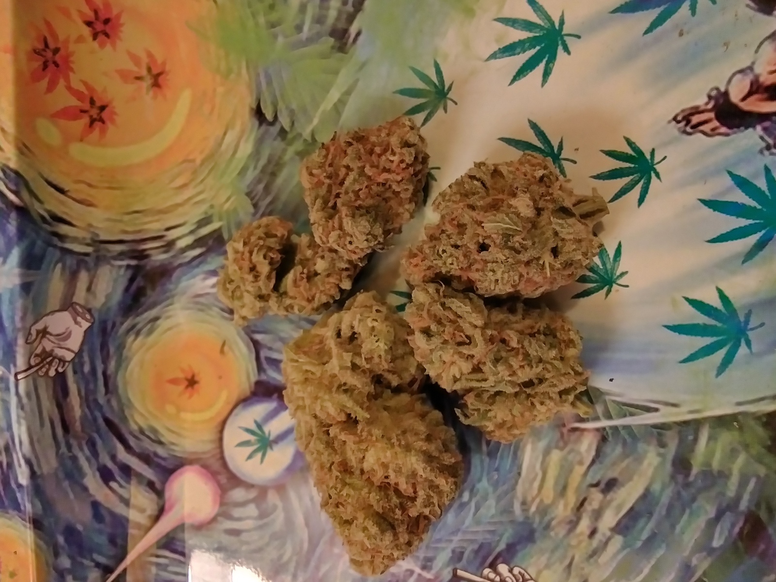 Dream Catcher Marijuana Strain Information & Reviews AllBud