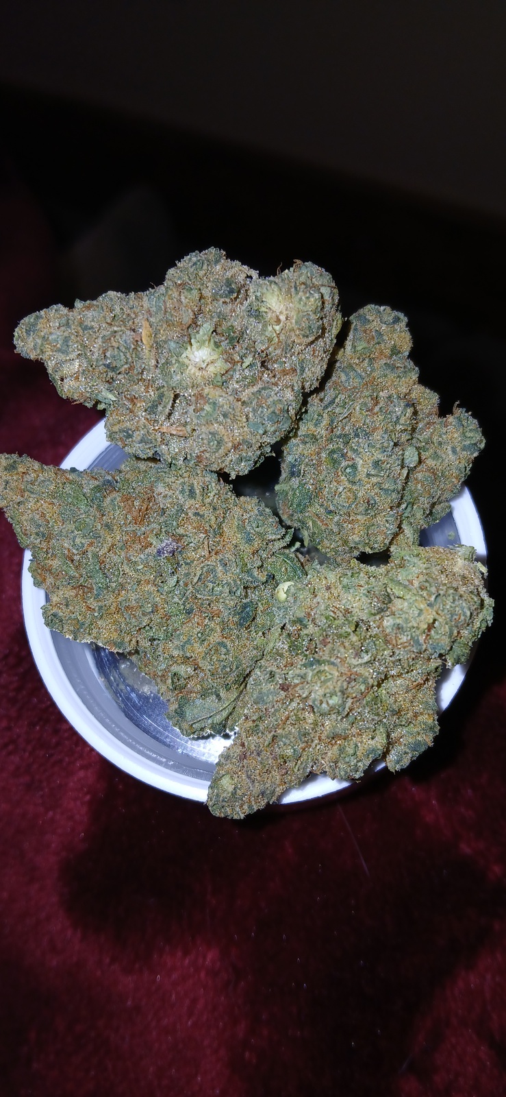 Silviya Sent-da tugadi