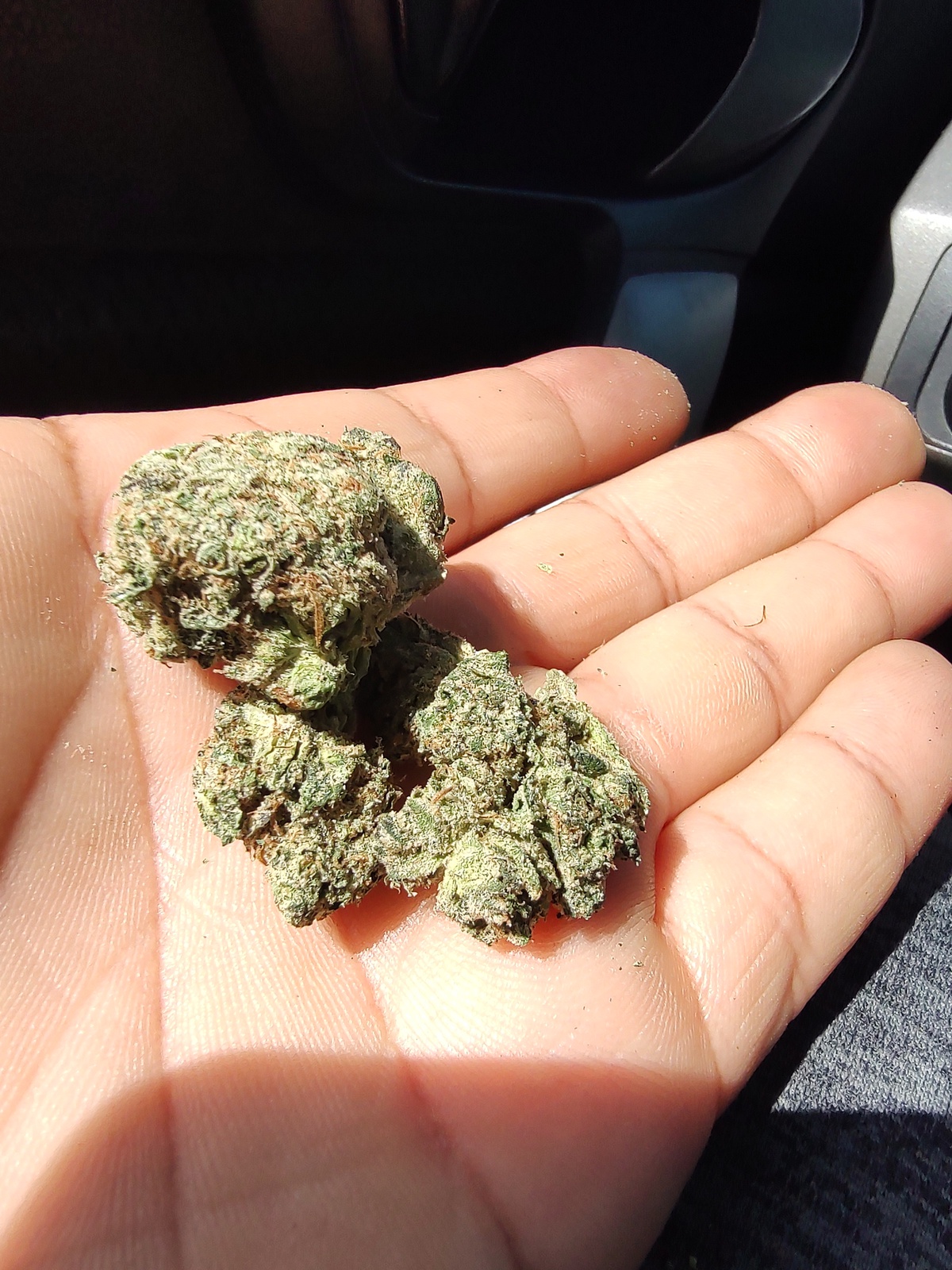 Durban Cookies Marijuana Strain Information & Reviews AllBud