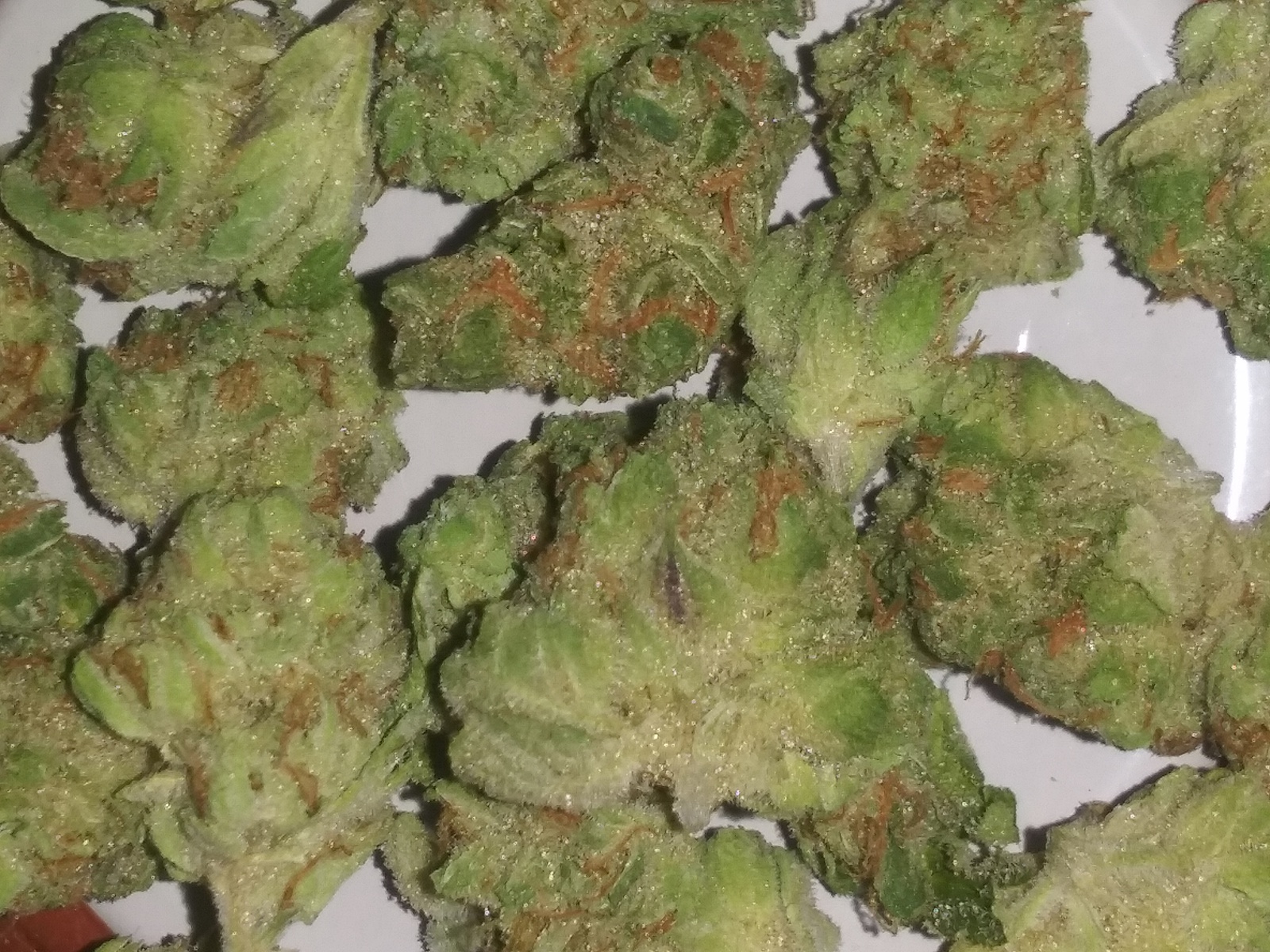 Dutch Hawaiian Marijuana Strain Information & ReviewsN AllBud