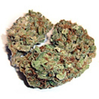 Early Misty archive 1