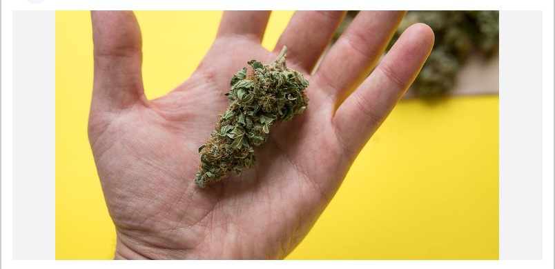 Easy Rider archive 1