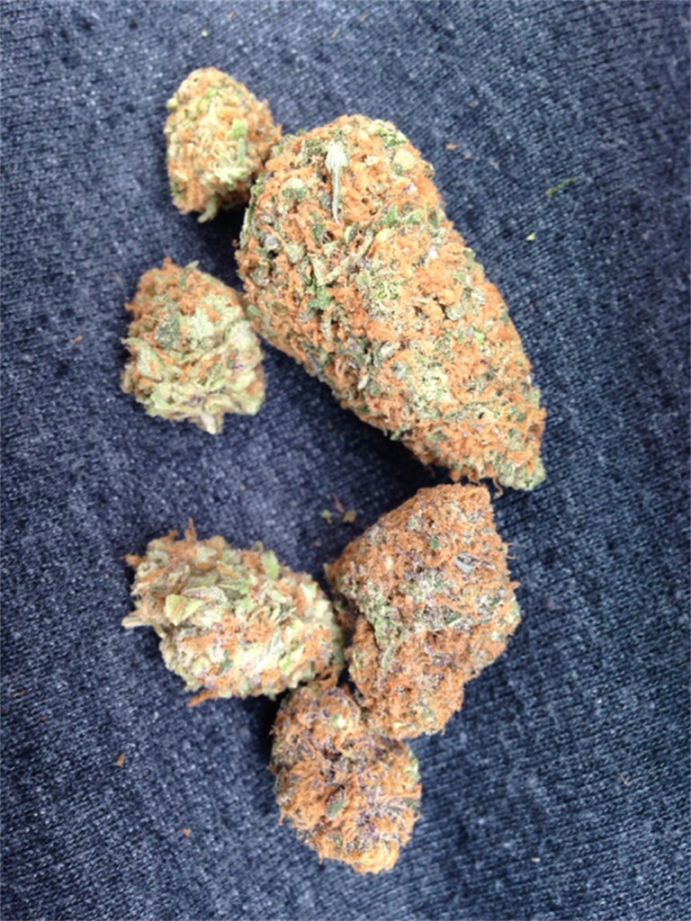 Elk Wallow archive 1