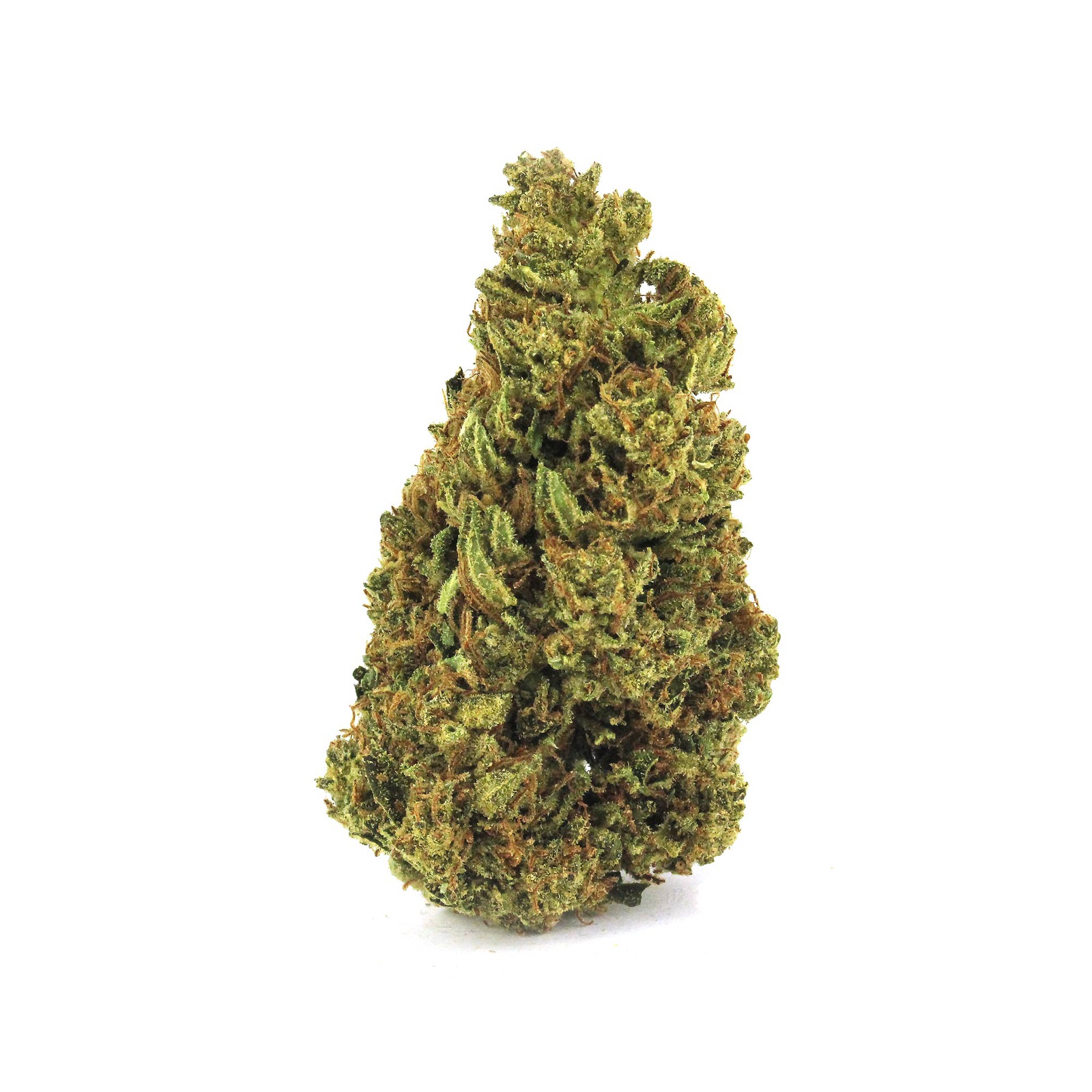 Epic Koala Marijuana Strain Information & Reviews AllBud