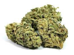 Ethos Glue archive 0