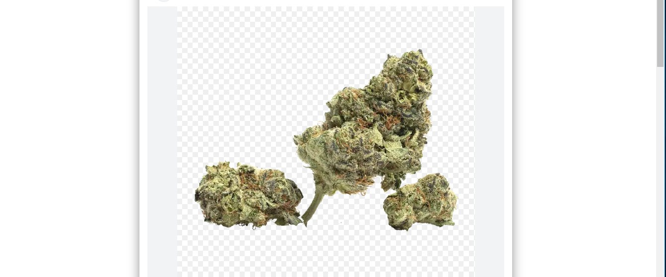 Face Slapper Marijuana Strain Information & Reviews AllBud