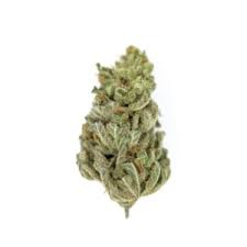 Facewreck Haze archive 1