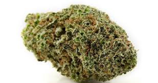 Faded Glory archive 1