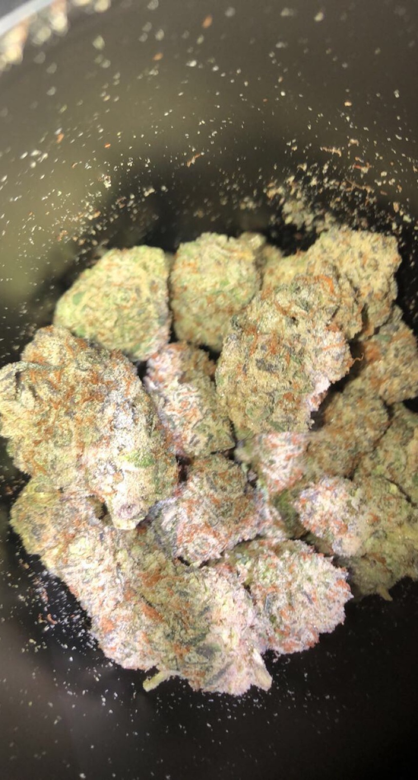 False Teeth archive 1