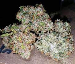 Fantasmo Express archive 1