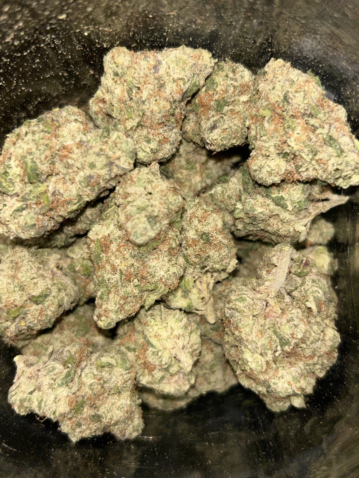 Astro Pop Strain - 4lkd43y