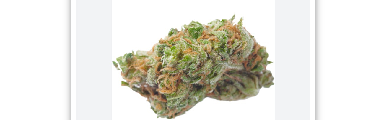 Fire Alien Master archive 1