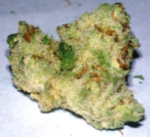 Fire Alien Romulan archive 1