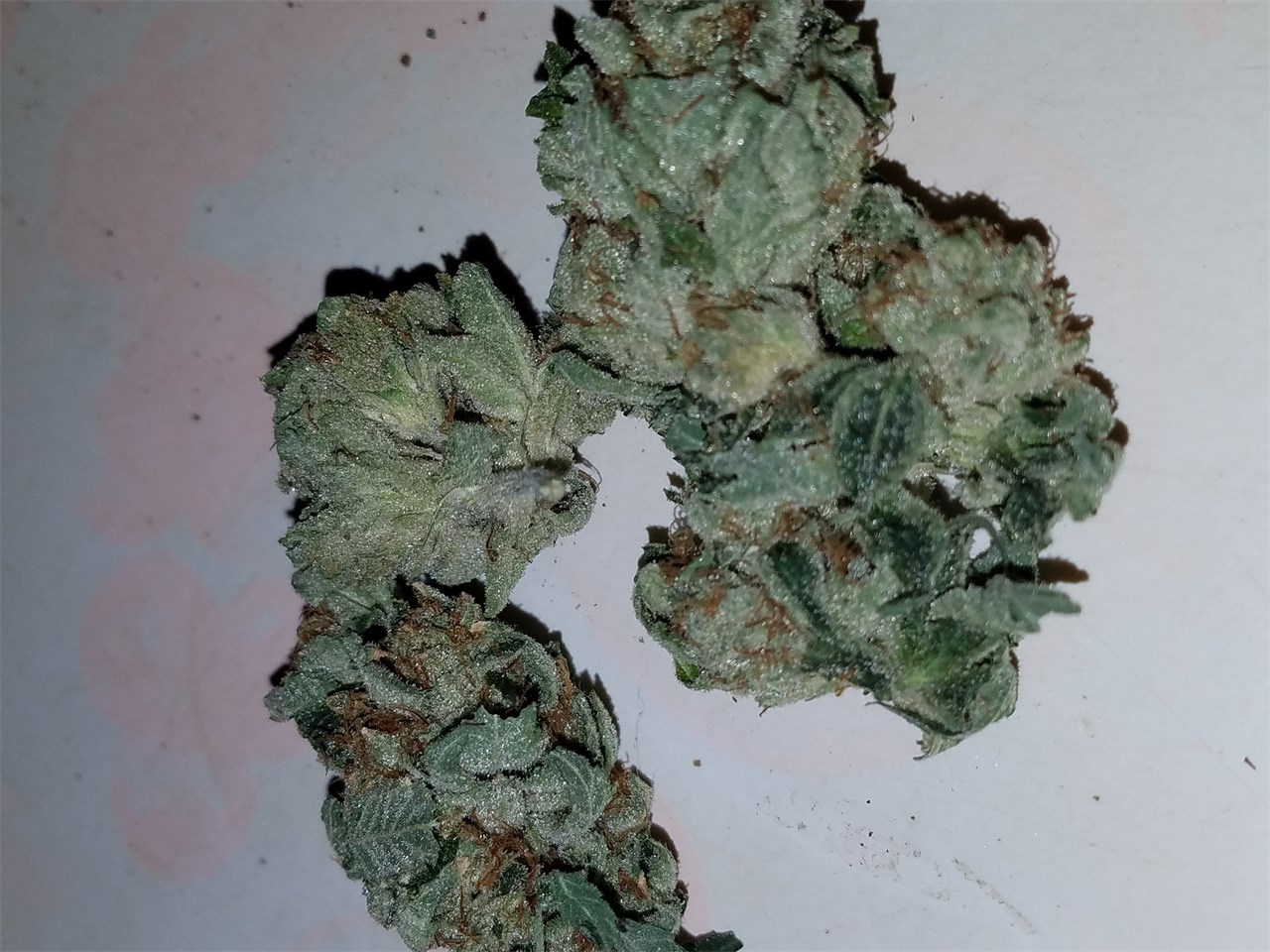 Flowerbomb Kush Marijuana Strain Information & Reviews AllBud