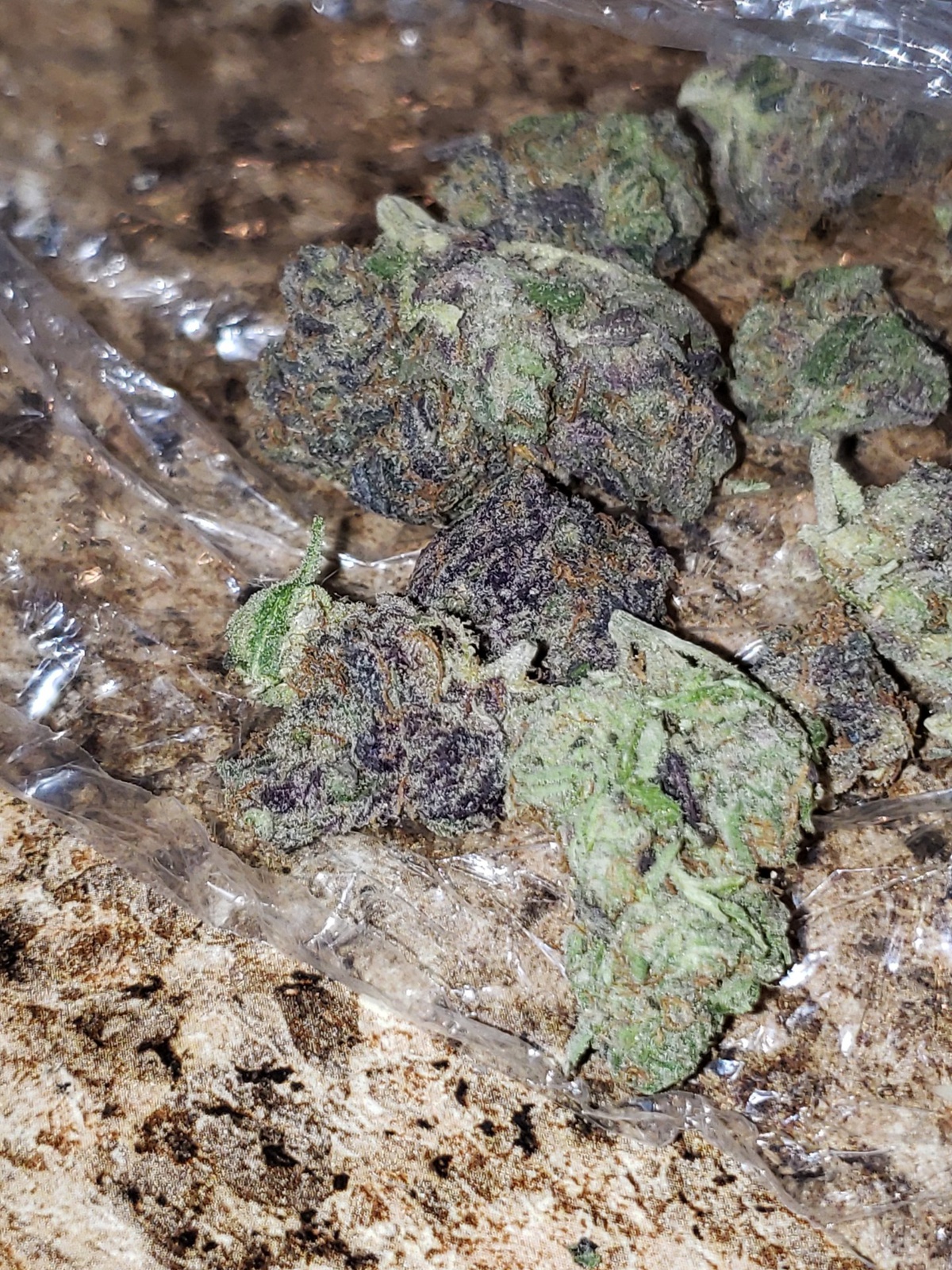 Forbidden Jelly Marijuana Strain Information & Reviews AllBud