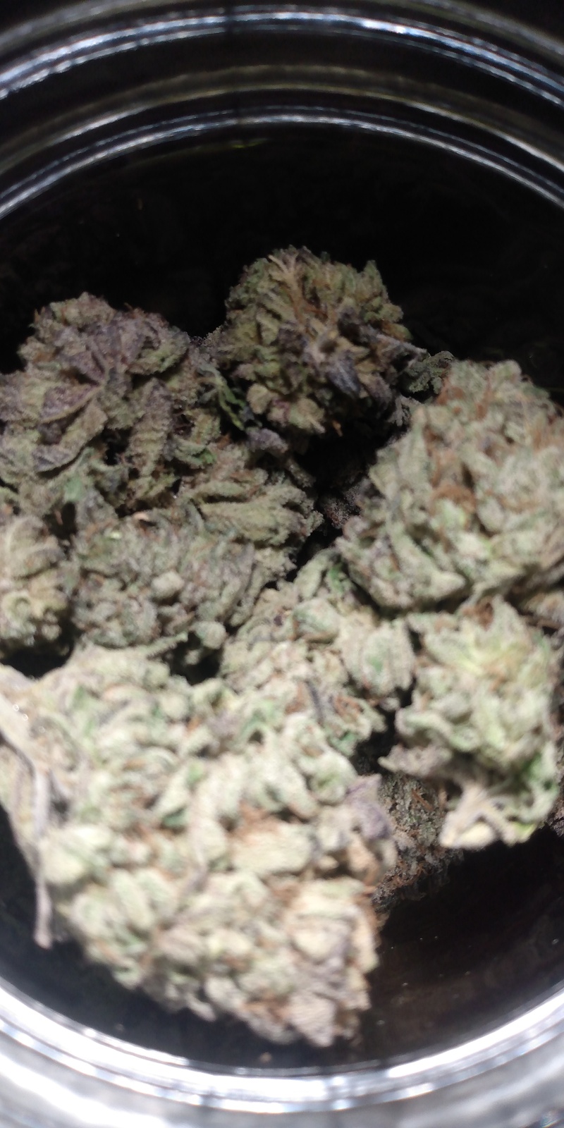 Forbidden Runtz Marijuana Strain Information & Reviews | AllBud