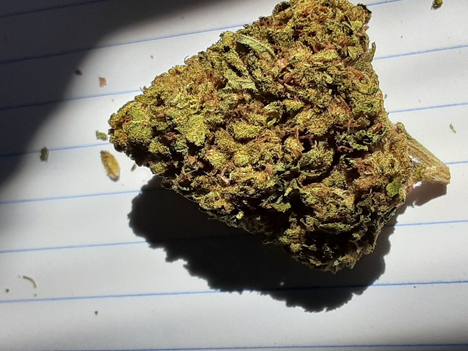 The Fork Marijuana Strain Information & Reviews AllBud