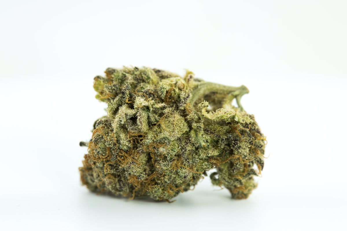 Frost Berry Marijuana Strain Information & Reviews AllBud