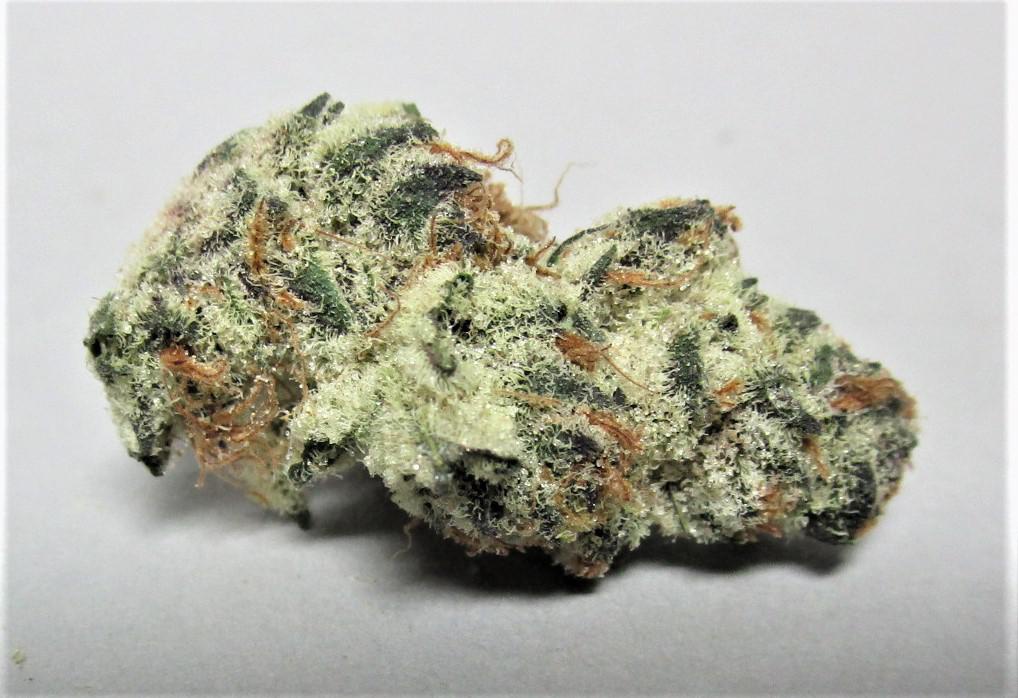 Frost Donkey harvested flower, as labeled by the cited photo source