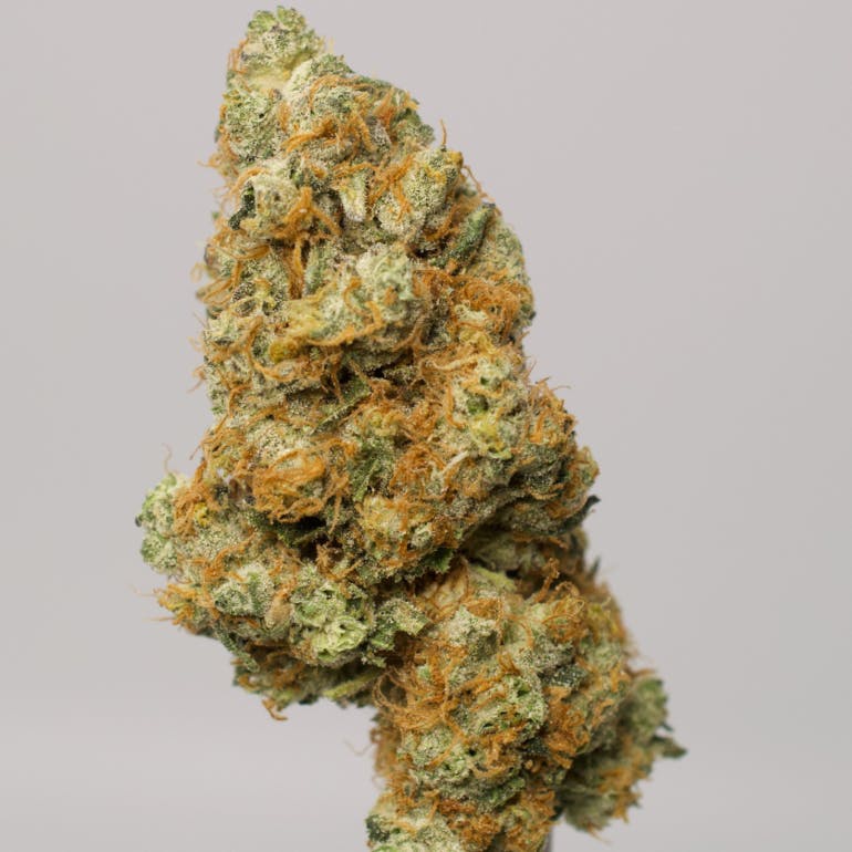 Frosted Garlic Margy Marijuana Strain Information & Reviews AllBud