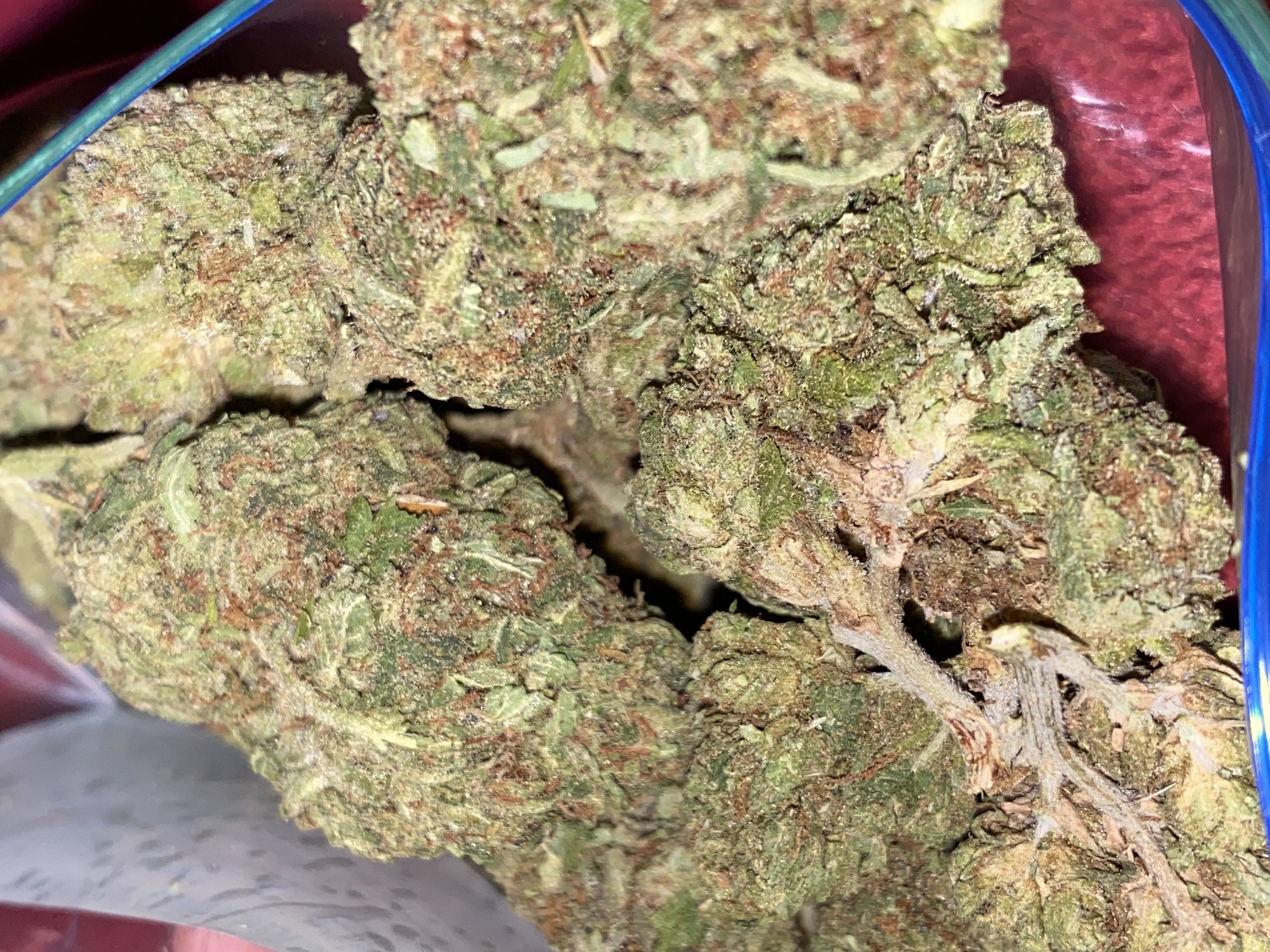 Fruit Salad Marijuana Strain Information & Reviews AllBud