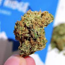 G-Spot Tornado archive 0