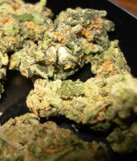 G13-Diesel archive 1