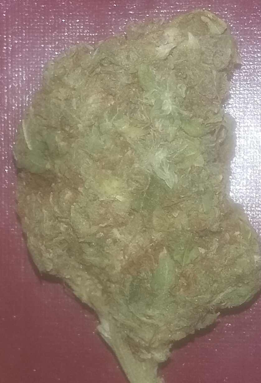 Ganja Farmer OG archive 1