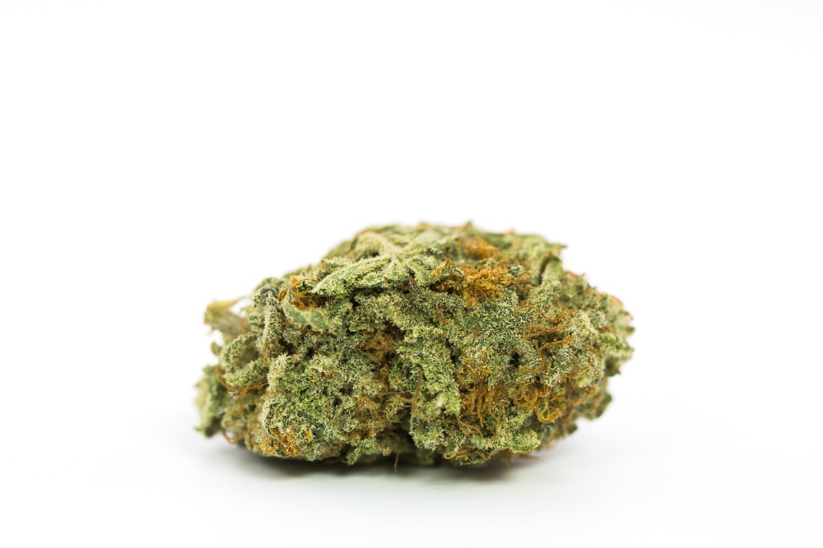 Garlic Drip Marijuana Strain Information & Reviews AllBud