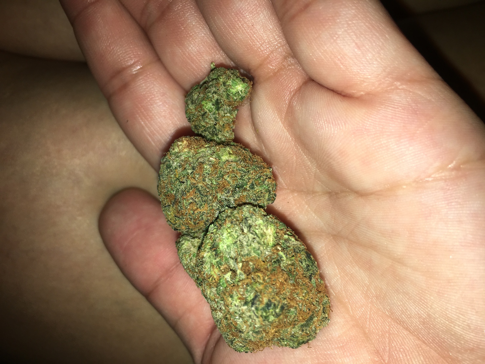 Gas Leak Marijuana Strain Information & Reviews AllBud