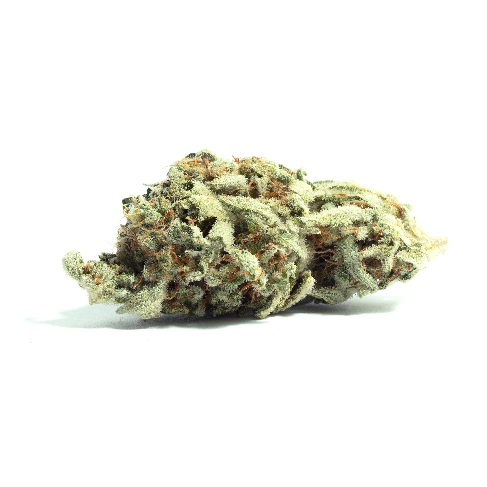 Gas Truffle Marijuana Strain Information & Reviews AllBud