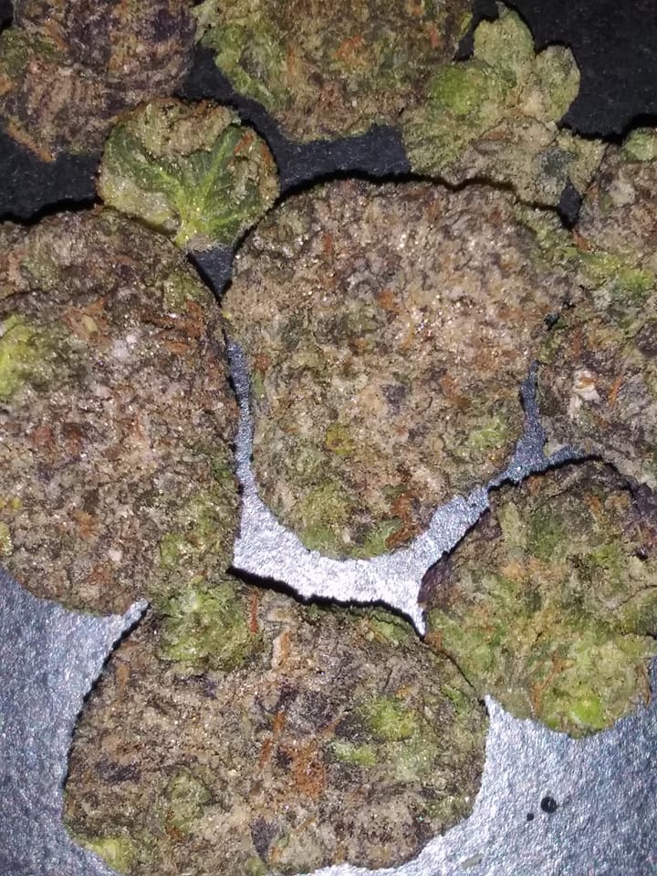 Gelato Cookies Marijuana Strain Information & Reviews AllBud