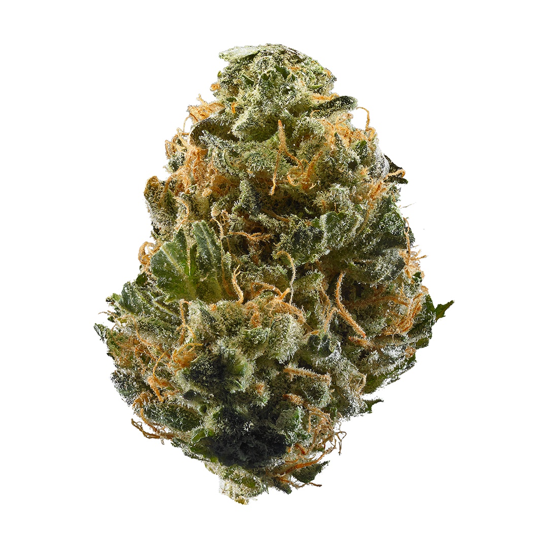 Gelato Dosi Marijuana Strain Information & Reviews AllBud