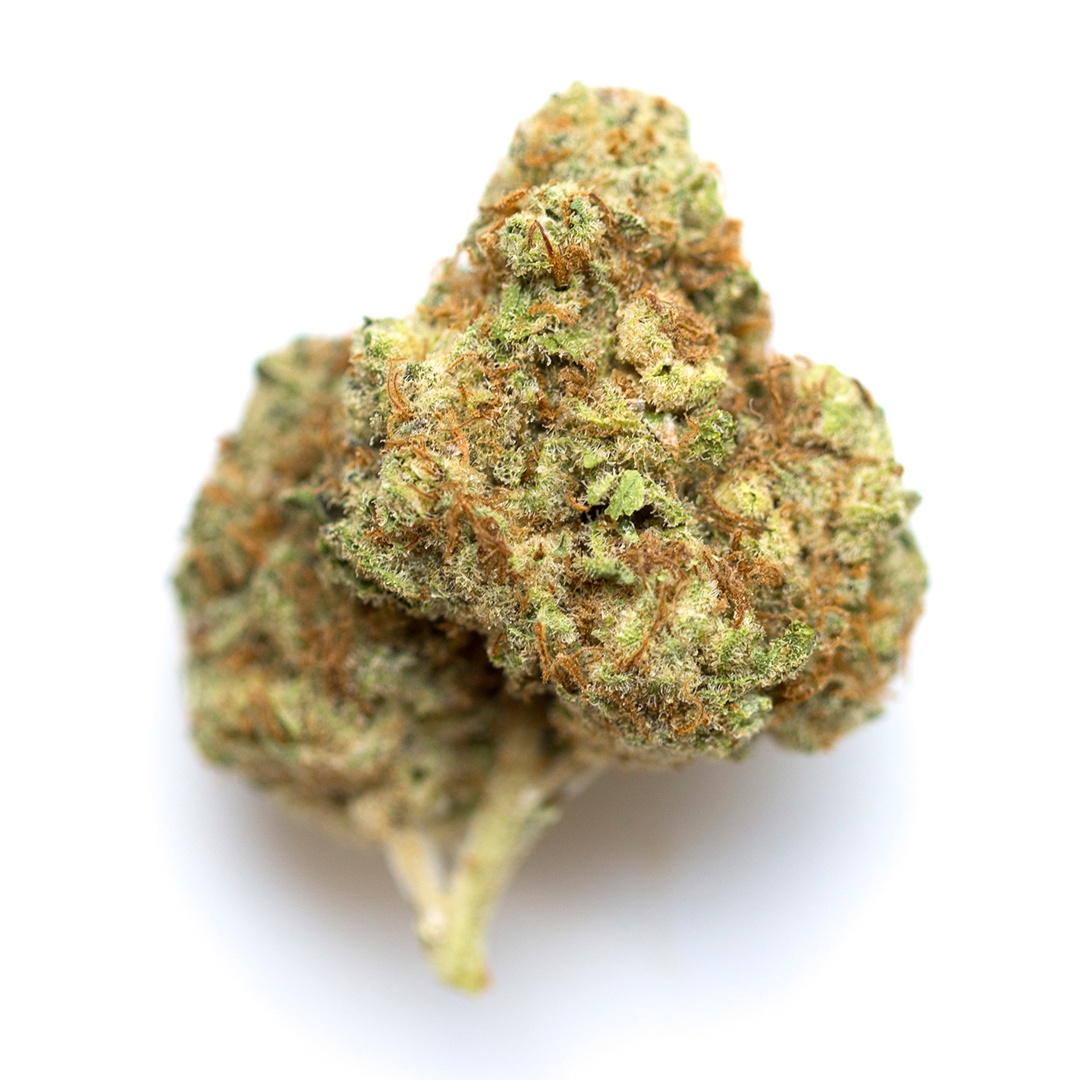 Gelatti Kush Mintz Marijuana Strain Information & Reviews AllBud