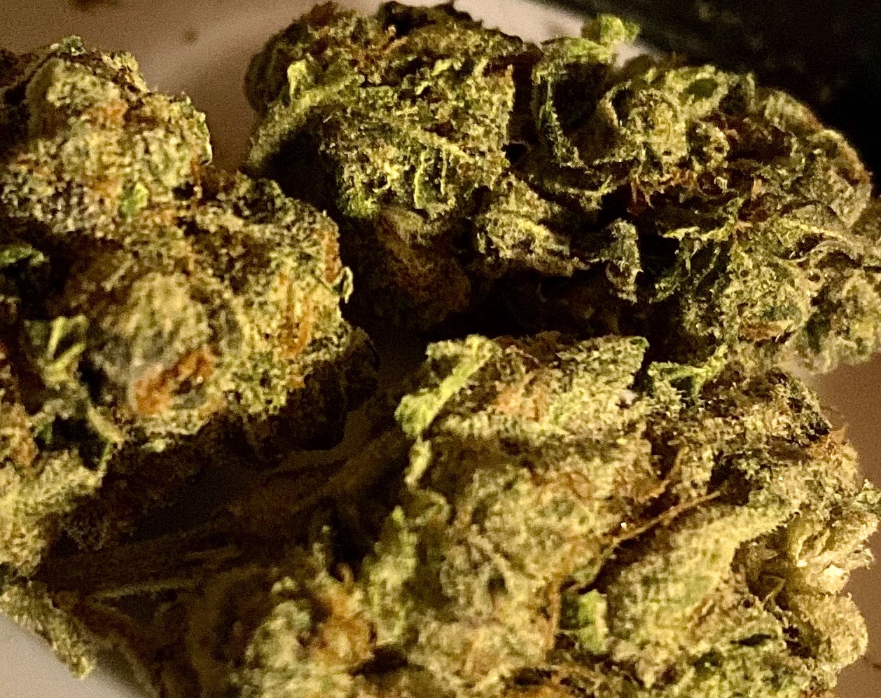 Ghost Breath archive 0