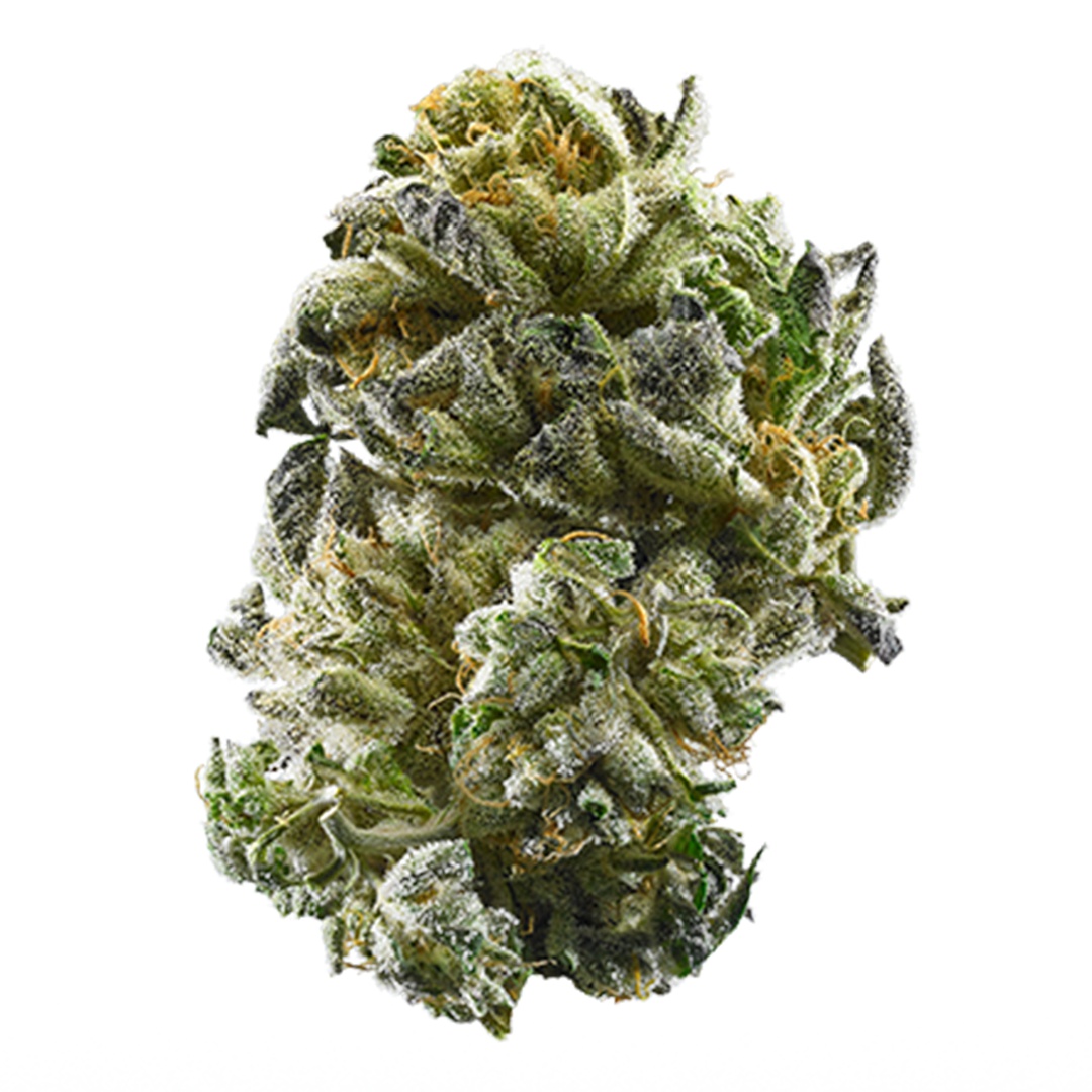 Giesel Cookies Marijuana Strain Information & Reviews AllBud