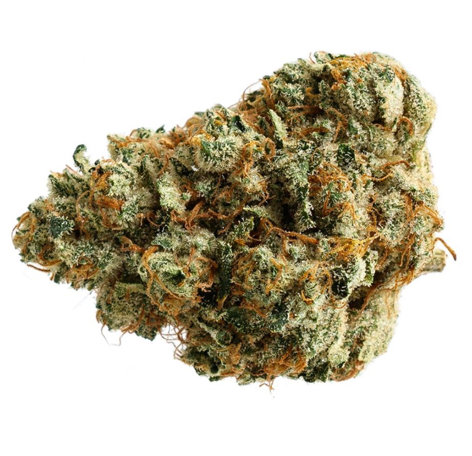 Ginger Dawg Marijuana Strain Information & Reviews AllBud