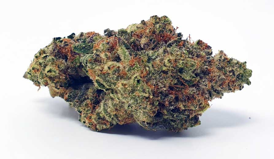 Ginger Glue Marijuana Strain Information & Reviews AllBud