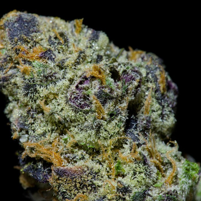 Gingerbread Cookies Marijuana Strain Information & Reviews AllBud