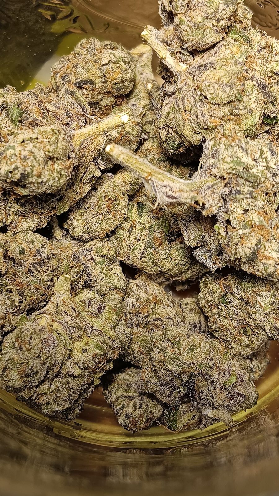 Glazed Apricot Gelato Marijuana Strain Information & Reviews AllBud