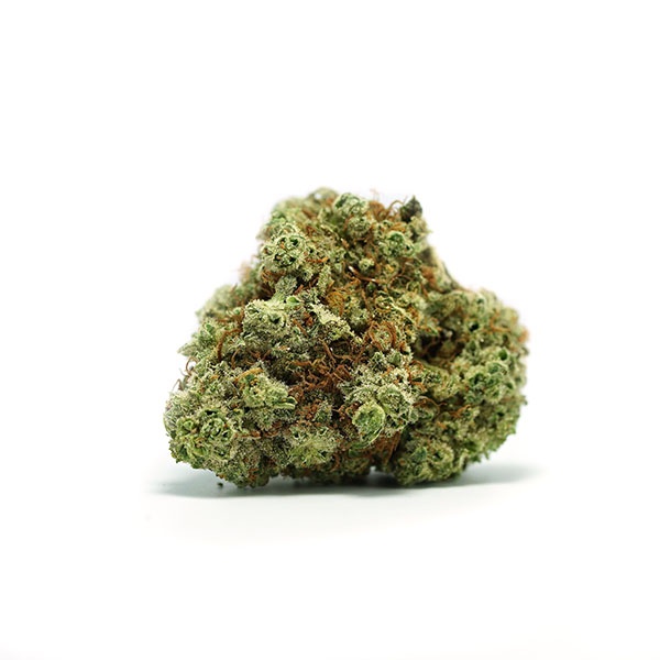 Glue BX2 Marijuana Strain Information & Reviews AllBud