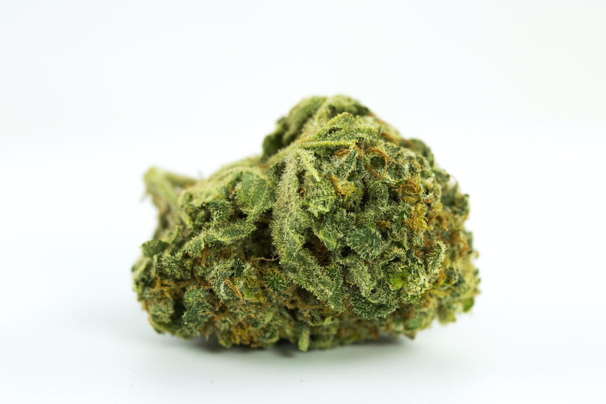 God's Grove Marijuana Strain Information & Reviews | Allbud